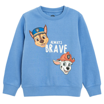 Джемпер, повседневный с утеплителем, детские Cool Club Paw Patrol LCB2810863, голубой цв., 104 см