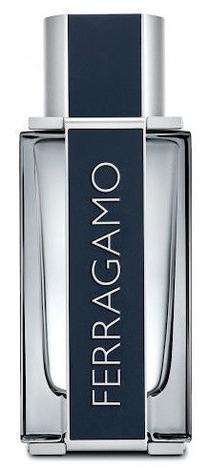 Tualetinis vanduo Salvatore Ferragamo Ferragamo Men, 100 ml