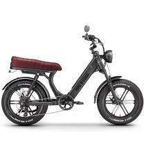 Elektrinis dviratis Ape Ryder MD10 Pro, 20", 250 W, 15 Ah, pilka sp.