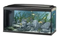 Akvariumas Ferplast Cayman 110 LED 65111117, juoda sp., su įranga, 230 l