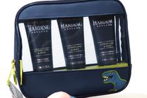 Набор ухода за лицом для мужчин Baylis & Harding Citrus Lime & Mint Bag, 300 мл