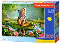 Dėlionė Castorland 030156, 40 cm x 29 cm, 300 vnt., įvairių spalvų