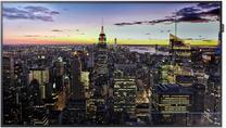 Monitors Samsung QB65H, BLU, 60 Hz, 65"