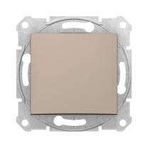 Slēdzis Schneider Electric Sedna SDN0100168, 1 kl, titāna krās.