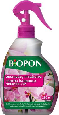Purškiklis orchidėjoms prižiūrėti 1171, 0.25 l