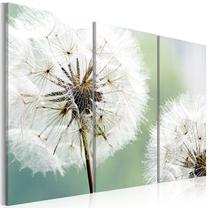 Akrilo stiklo reprodukcija Artgeist Fluffy Dandelions, 40 cm x 80 cm