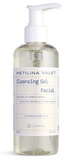 Kosmētikas noņemšanas līdzeklis Metilina Valet Cleansing Gel Facial, 250 ml