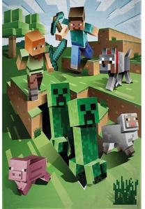 Pledas Minecraft, įvairių spalvų, 100 cm x 150 cm
