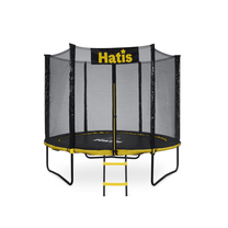 Batuts Hatis, 244 cm, ar drošības tiklu, ar kāpnēm