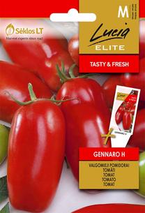 Sēklas Lucia Elite, tomāti Gennaro H, 0.1 g