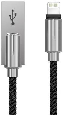 Laidas Devia, USB/Apple Lightning