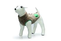 Striukė šunims Beeztees TEDDY, ruda sp., 24 cm