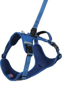 Petnešos šunims Zolux Clip&Go, mėlyna sp., 410 - 540 mm, S