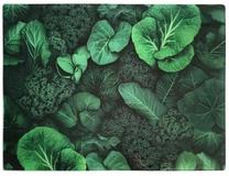 Pjaustymo lentelė Allesken Aria, žalia sp., 40 cm x 30 cm