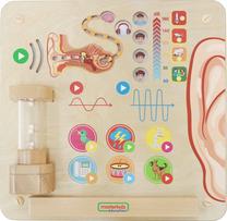 Lavinamoji lenta, žmogaus kūnas Masterkidz Sense Of Hearing, įvairių spalvų/smėlio sp.