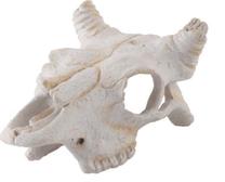 Akvārija dekorācija Exo Terra Buffalo Skull EX-9258, balta krās.