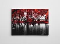 Reprodukcija Wallity WY99, 50 cm x 70 cm