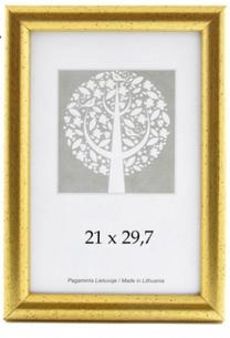 Nuotraukų rėmelis Aura 1303404, 30 cm x 21 cm, aukso sp.