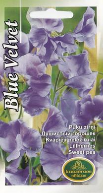 Sēklas Kurzemes sēklas viengadīgās Blue Velvet, 5 g