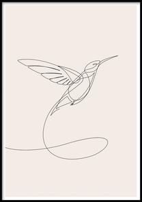 Pilt DecoKing Hummingbird, 50 cm x 70 cm