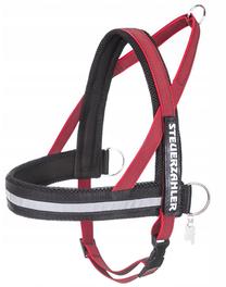 Petnešos šunims Hobbydog R4, raudona sp., 960 - 1200 mm x 50 mm, XXL