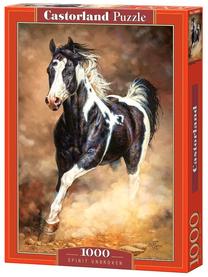 Dėlionė Castorland 103690, 68 cm x 47 cm, 1000 vnt., įvairių spalvų