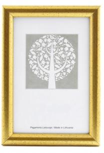 Nuotraukų rėmelis Aura 1303404, 40 cm x 30 cm, aukso sp.