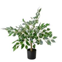 Dirbtinis augalas vazone, fikusas Mondex Viridis, žalia sp., 65 cm x 12 cm