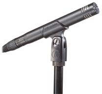 Kondensatorinis mikrofonas Audio-Technica AT2031, juoda sp.