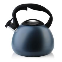 Arbatinukas su švilpuku Mondex, 3 l, mėlyna sp.