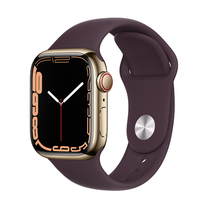 Умные часы Apple Watch Series 7 GPS + Cellular, 41mm Gold Stainless Steel Case with Dark Cherry Sport Band - Regular, золотой цв.