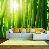 Fototapete Artgeist Sun And Bamboo FTNT1012, 270 cm x 270 cm