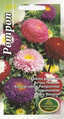 Sēklas Kurzemes sēklas asteres Pompon, 0.5 g