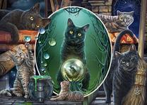 Dėlionė Schmidt Lisa Parker Magic Cats 10620837, 69.3 cm x 49.3 cm, 1000 vnt., įvairių spalvų