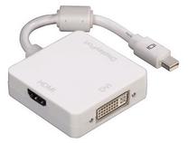 Adapteris Hama Mini Display port male, DVI / Display Port / HDMI female