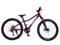 Vaikiškas dviratis, kalnų Gust Rebex Active, violetinė sp., 24"