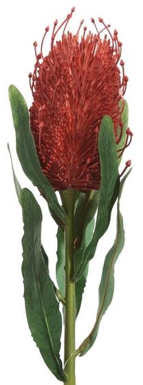 Dirbtinė gėlė 336, raudona sp., 63 cm