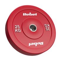 Disku svari Rebel Beast x 25 kg