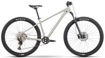 Dviratis kalnų Raymon Nayta Ultra, 29 ", XL rėmas, timelessgrey-chrome sp.