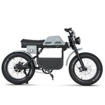 Электрический велосипед Ape Ryder 20 Gibbon, 1, 20″, 250 Вт, 20 Ач, черный цв./серый цв.
