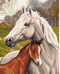 Tapymas pagal skaičius Paint it! Horse family, įvairių spalvų