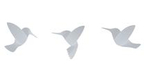 Umbra Humming Bird Wall Decor White