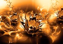 Fototapetas Artgeist Oily Flower (Orange) SFT1846SAM, 70 cm x 70 cm