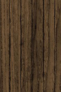Kilimas Conceptum Hypnose WOOKECE231, įvairių spalvų, 80 cm x 50 cm