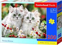 Dėlionė Castorland Persian Kittens 382668, 29 cm x 40 cm, 200 vnt., įvairių spalvų