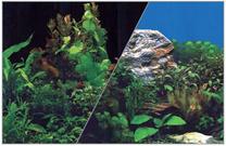 Akvārija fons Zolux Poster Black/Plants, daudzkrāsaina, 60 cm