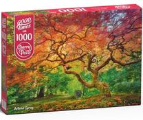 Пазл CherryPazzi Arterial Spray 1000 el. 30530, 50 см x 70 см, 1000 шт., многоцветный