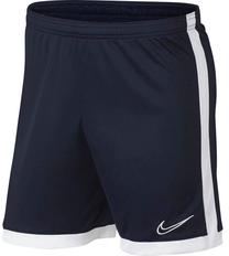 Šorti, vīriešiem Nike, zila krās., s