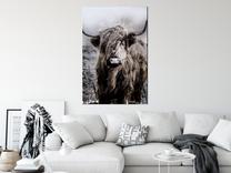 Reprodukcija Artgeist Highland Cow In Sepia HKNW1306XL, 60 cm x 90 cm
