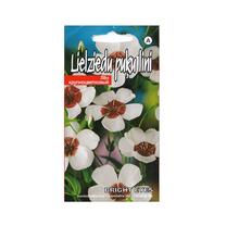 Sēklas lini Flax Bright Eyes